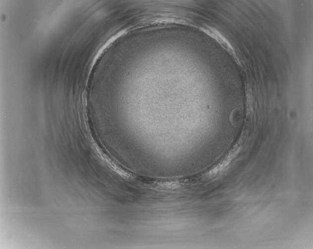 X0000069840798200606021400