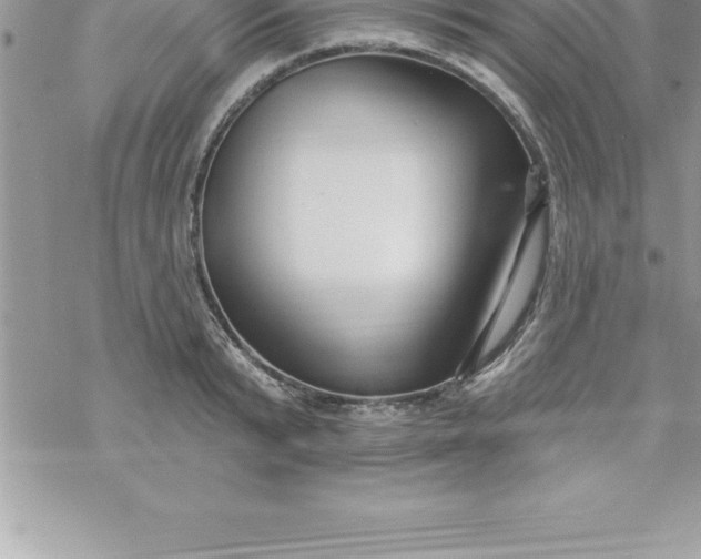 X0000069840799200606021400