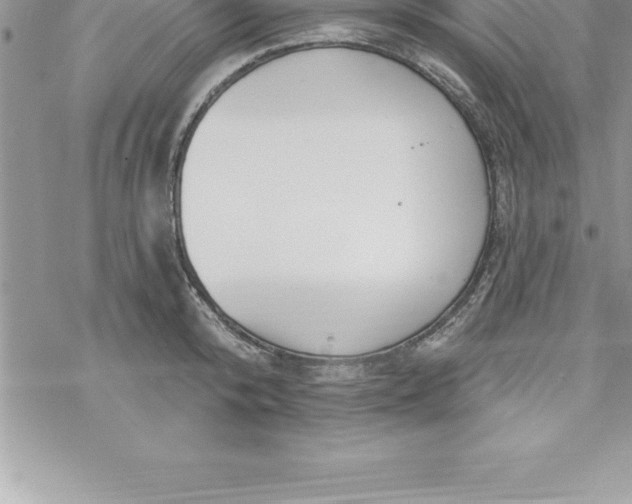 X0000069840800200606021400