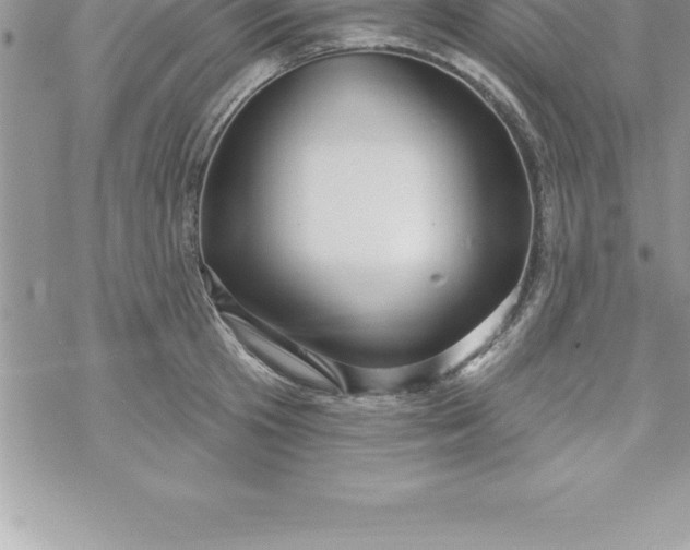 X0000069840801200606021400