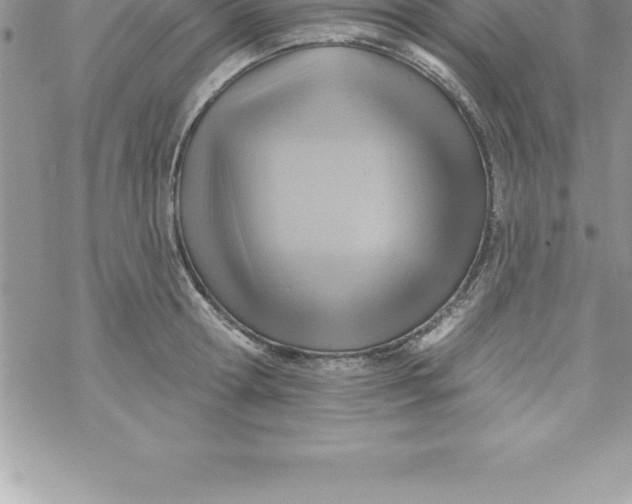 X0000069840802200606021400