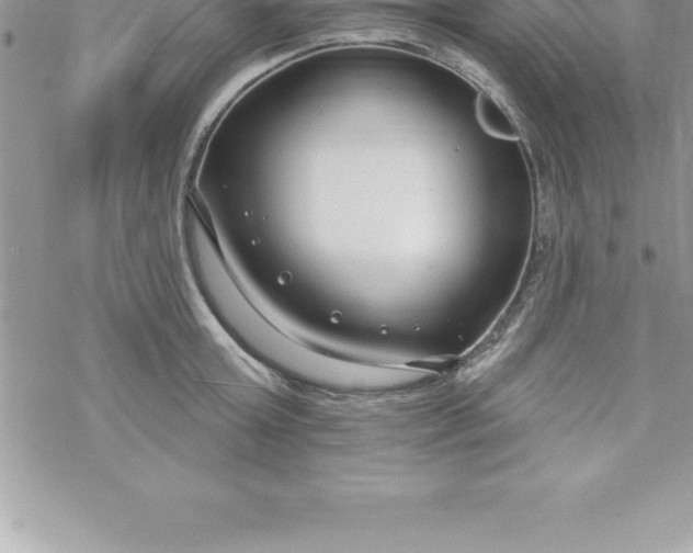 X0000069840803200606021400