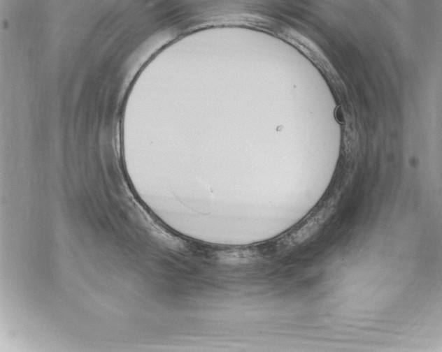 X0000069840804200606021400