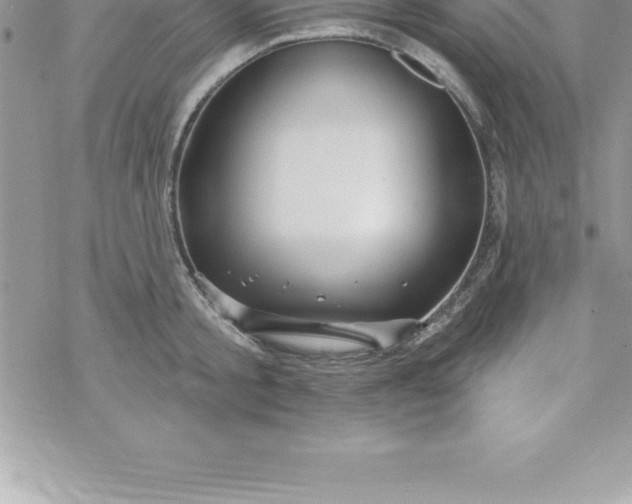 X0000069840805200606021400