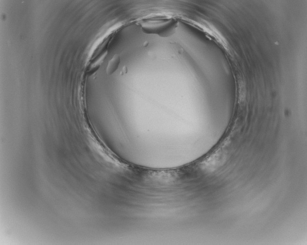 X0000069840806200606021400