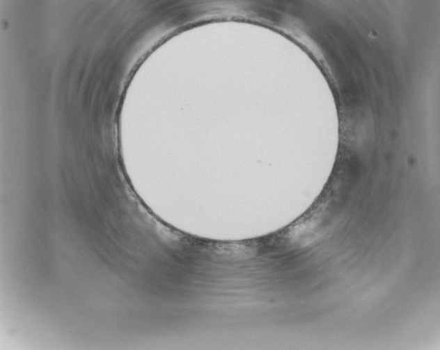 X0000069840807200606021400