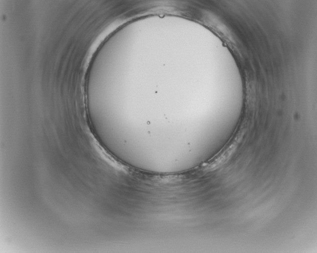 X0000069840808200606021400