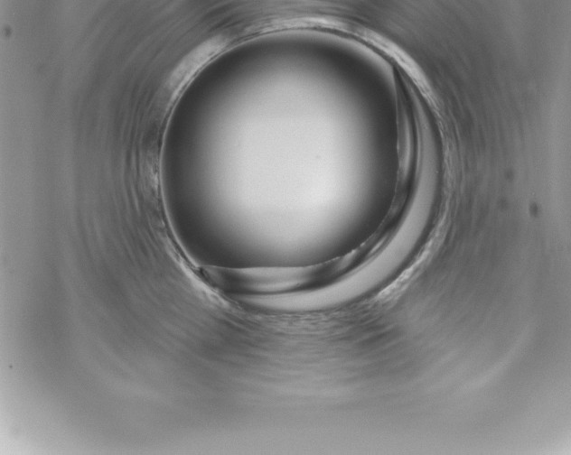 X0000069840809200606021400