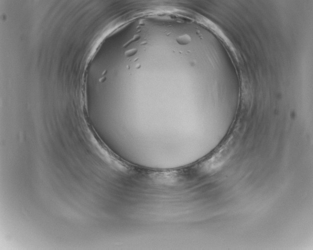 X0000069840810200606021400