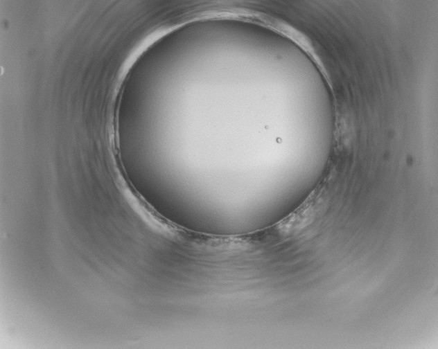 X0000069840811200606021400