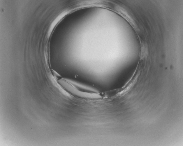 X0000069840812200606021400