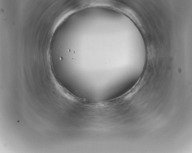 X0000069840814200606021400