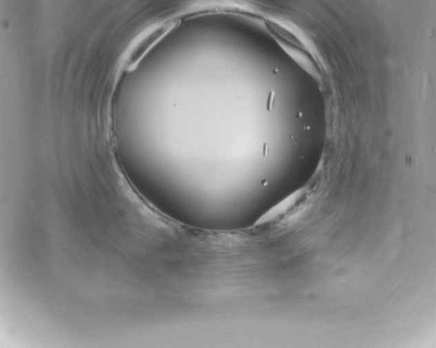 X0000069840815200606021400