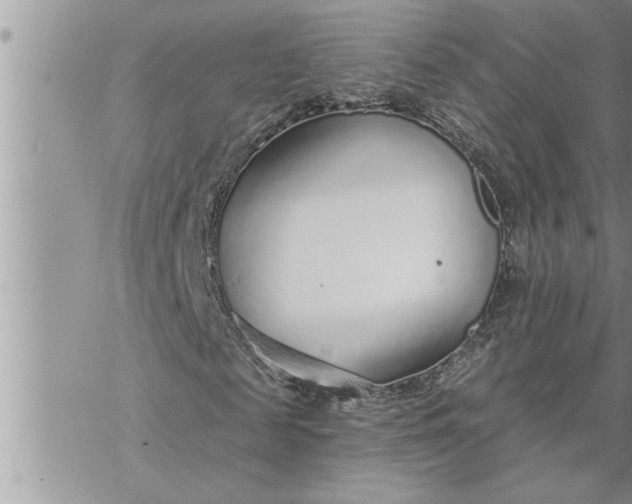 X0000069840817200606021359