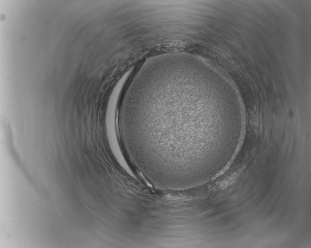 X0000069840818200606021359