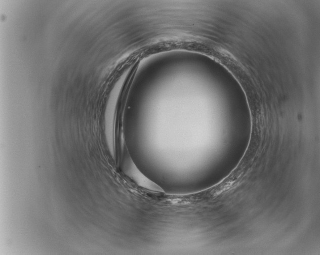 X0000069840822200606021359