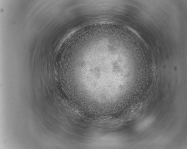 X0000069840823200606021359