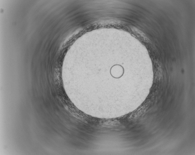 X0000069840824200606021359