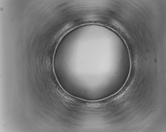 X0000069840825200606021359