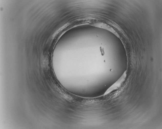 X0000069840826200606021359