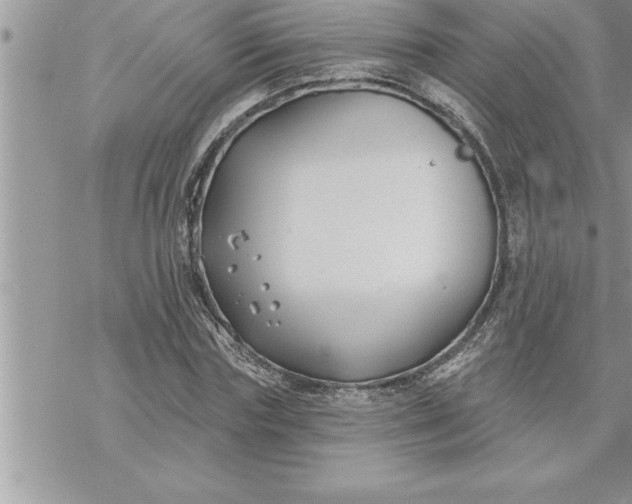 X0000069840827200606021359