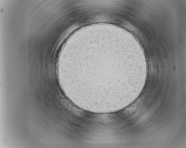 X0000069840828200606021359