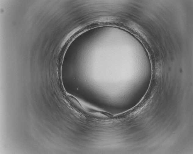 X0000069840829200606021359