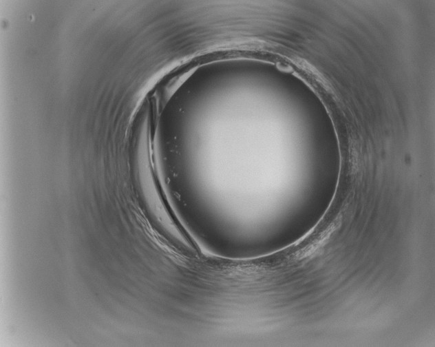 X0000069840830200606021359