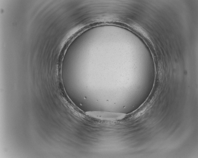 X0000069840831200606021359