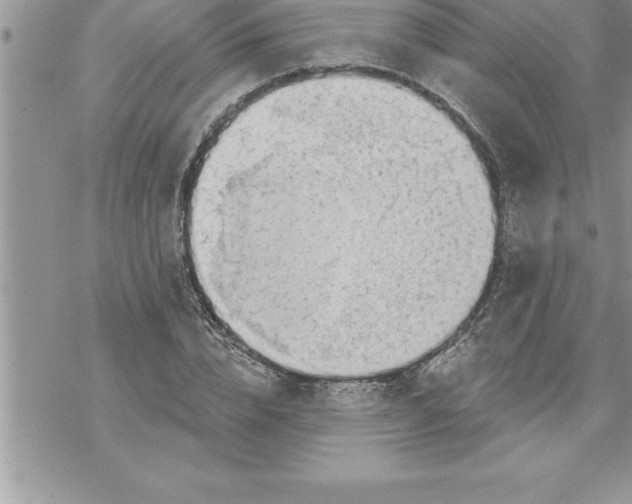 X0000069840832200606021359