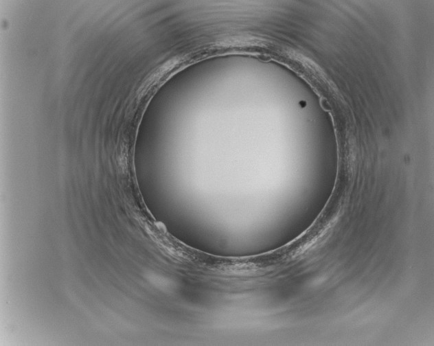 X0000069840833200606021359