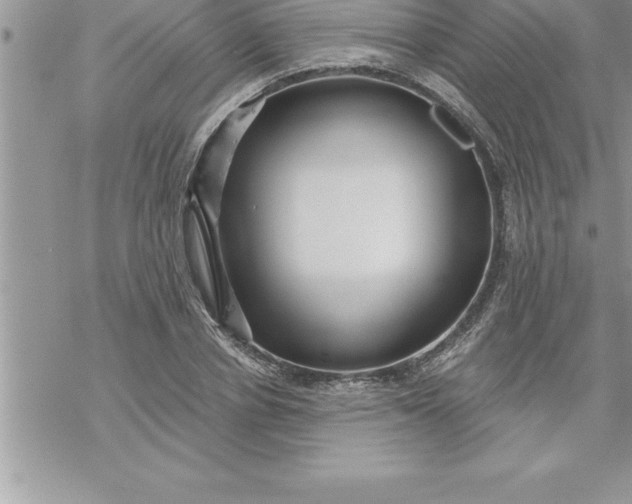 X0000069840834200606021359