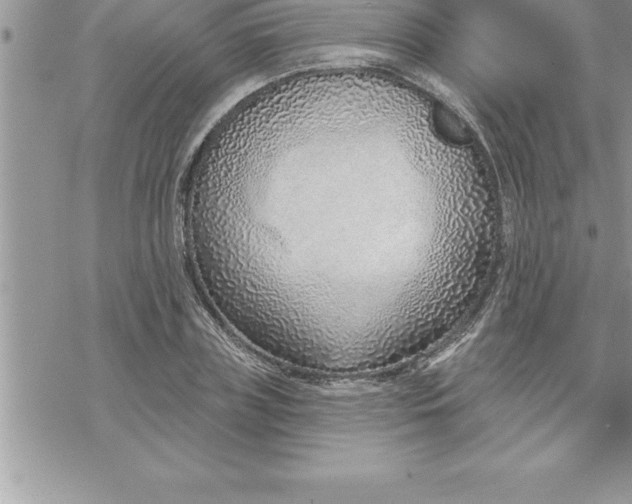 X0000069840835200606021359