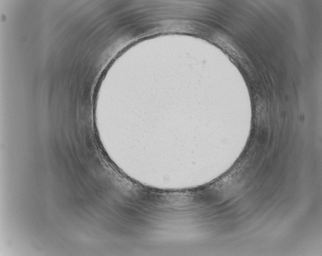 X0000069840836200606021359