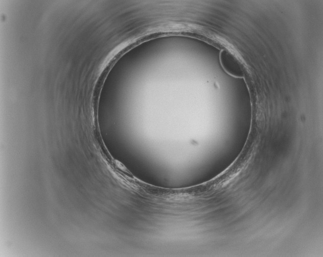 X0000069840837200606021359