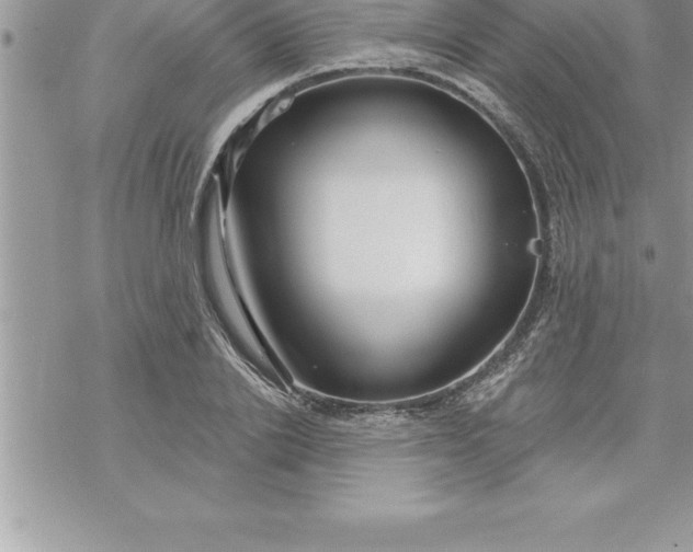 X0000069840838200606021359