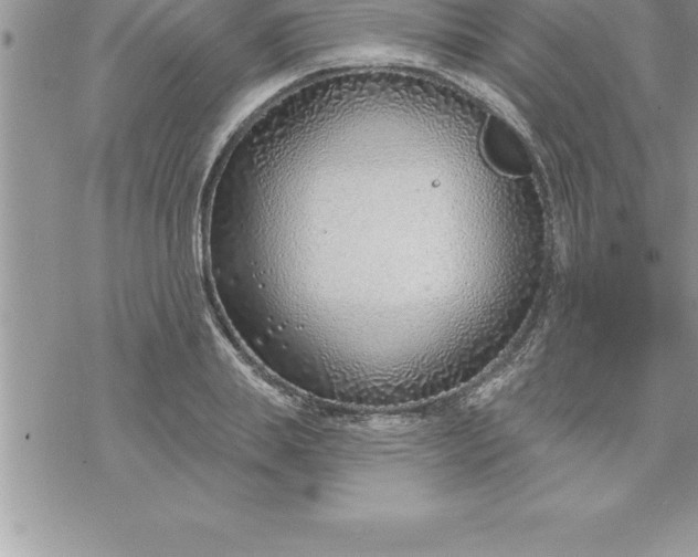 X0000069840839200606021359