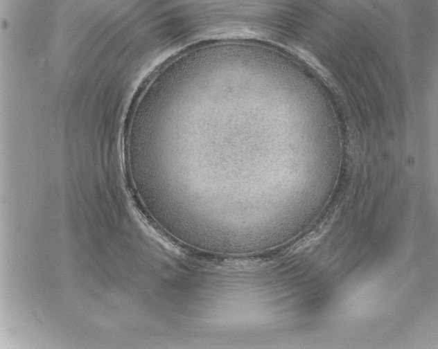 X0000069840840200606021359