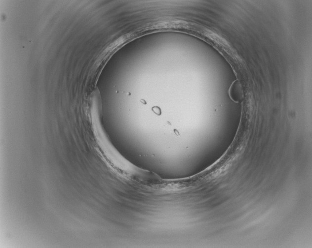 X0000069840841200606021359