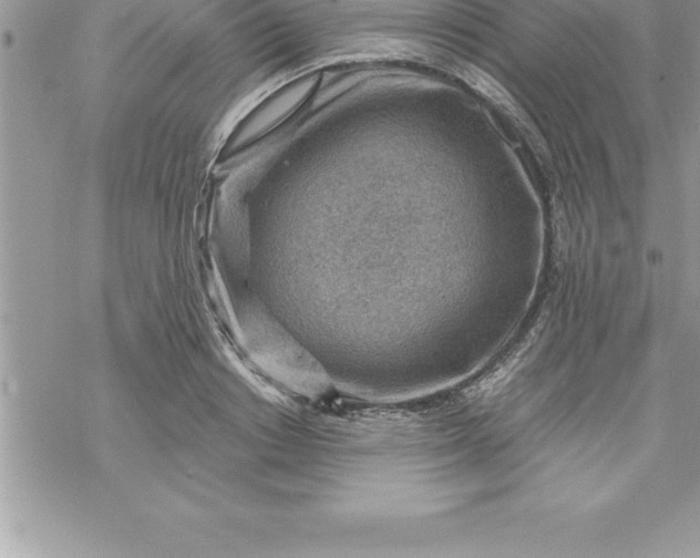 X0000069840842200606021359