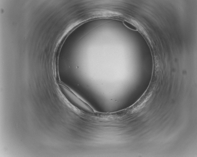 X0000069840843200606021359