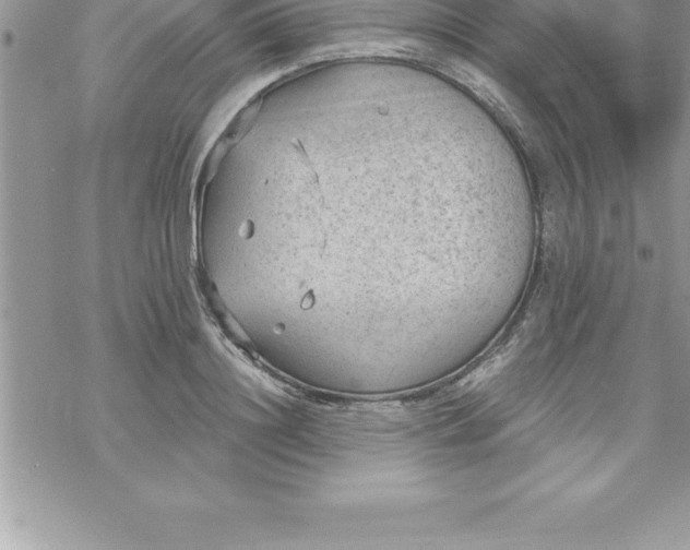 X0000069840844200606021359