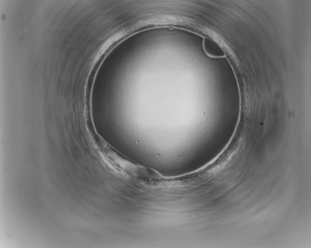 X0000069840845200606021359