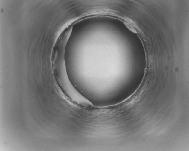 X0000069840846200606021359