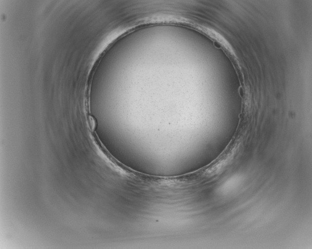 X0000069840847200606021359