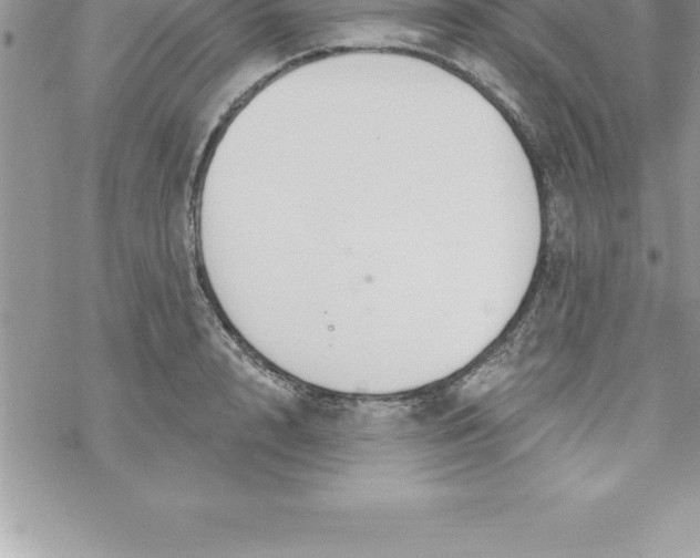 X0000069840848200606021359