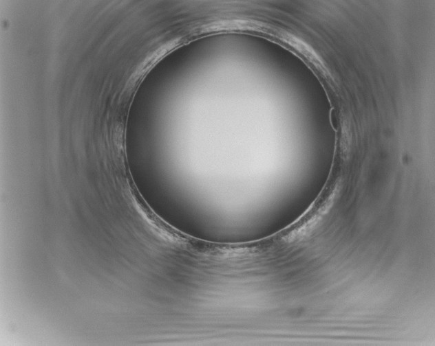 X0000069840849200606021359