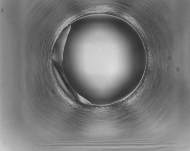 X0000069840850200606021359