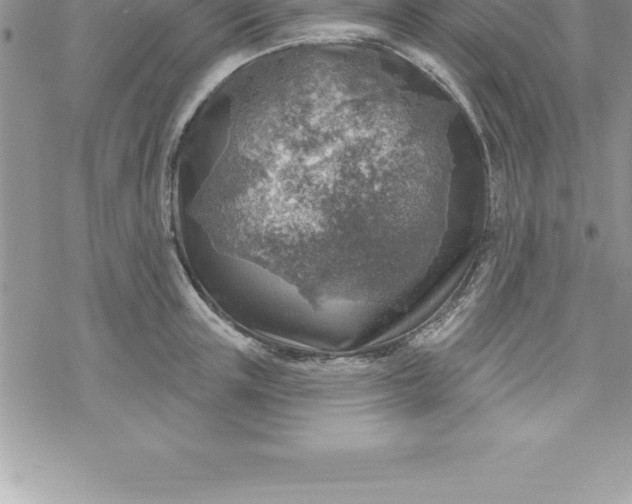 X0000069840851200606021359