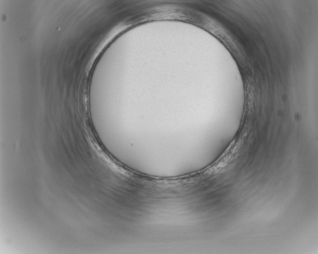 X0000069840852200606021359